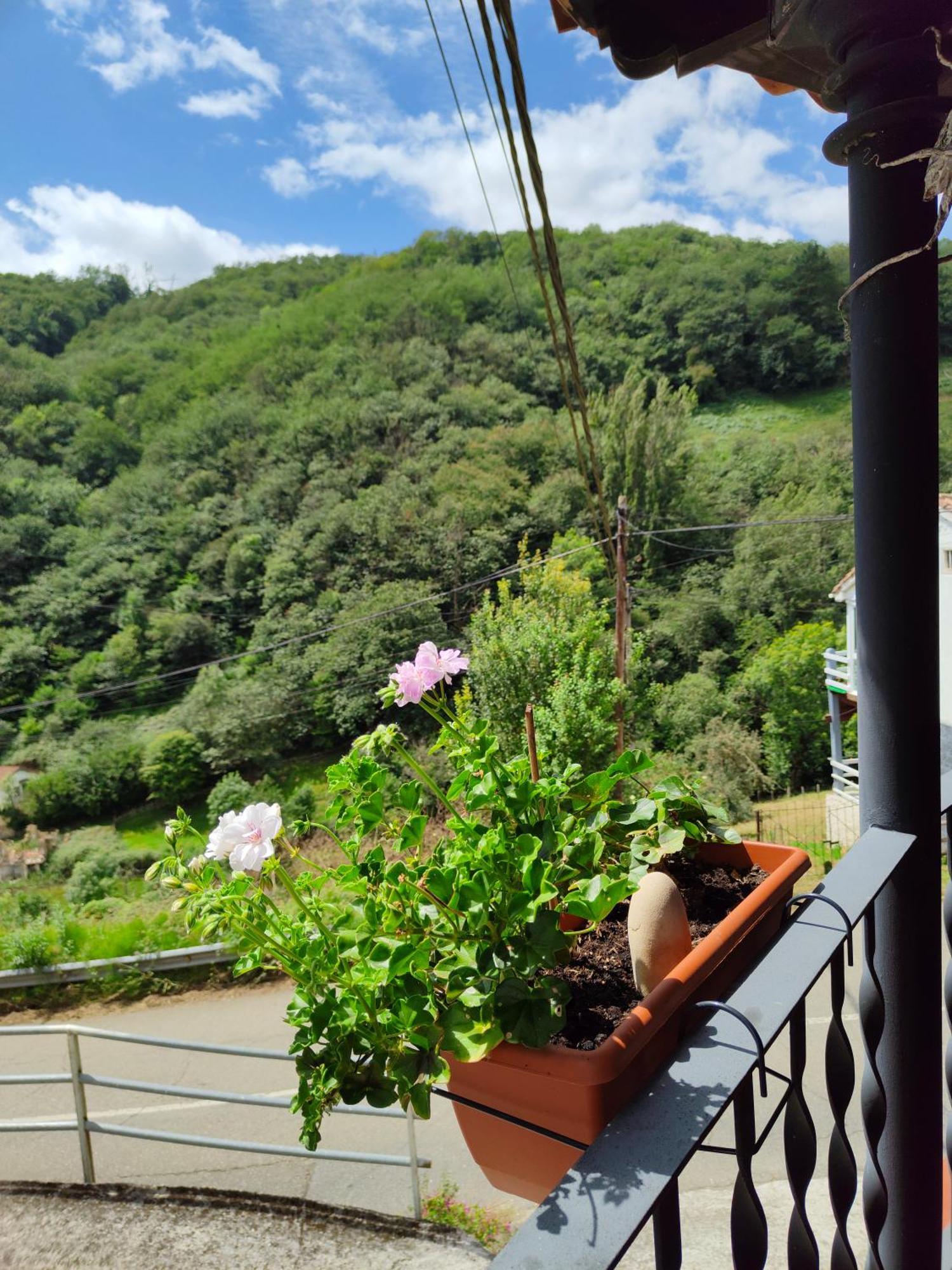Hotel Dona Gaudiosa 폴라데레나 외부 사진
